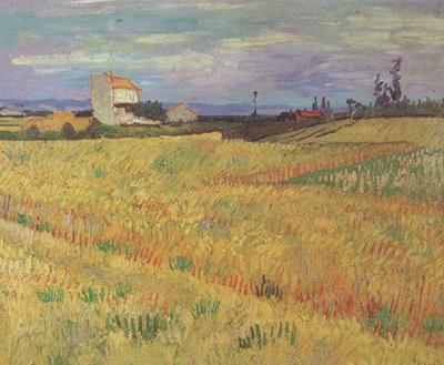 Vincent Van Gogh Wheat Field (nn04) Spain oil painting art